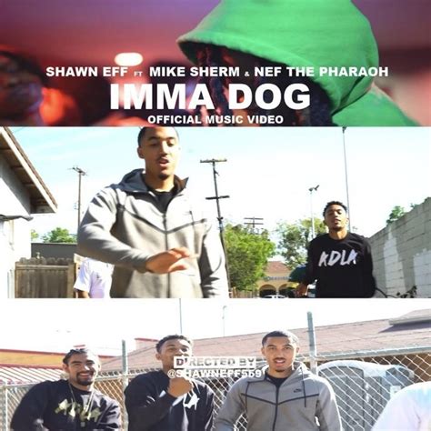 imma dog to lyrics|imma dog shawn eff.